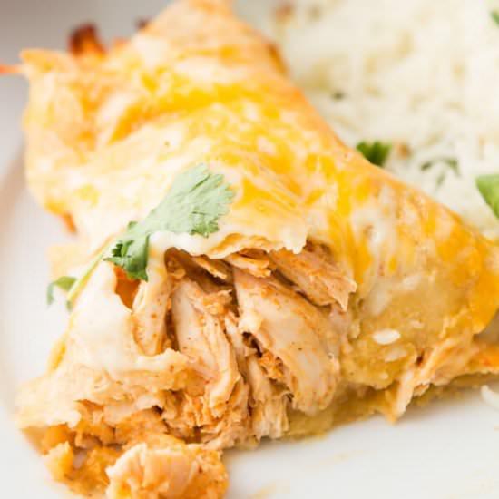 Honey Lime Chicken Enchiladas - Recipe photo by sweetbasil