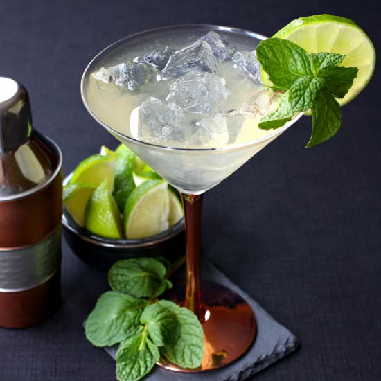 Moscow Mule Martini - Recipe photo by FoodFanatical