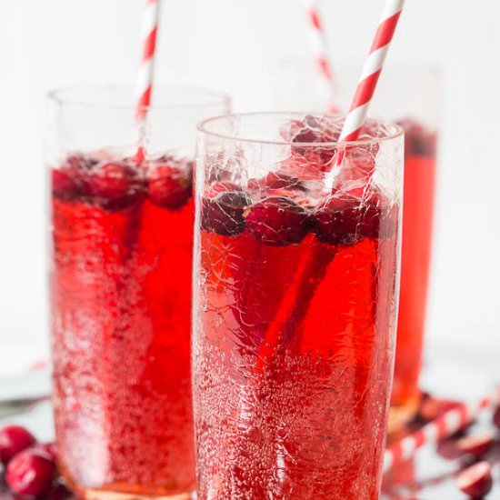 Cranberry Ginger Ale Punch - Recipe photo by Shineshka