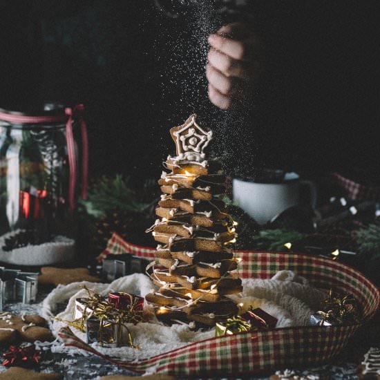 Buckwheat Gingerbread Cookies - Recipe photo by terminatetor