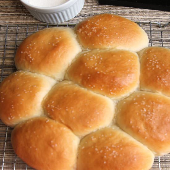 Mom's Dinner Rolls - Recipe photo by suebeehomemaker