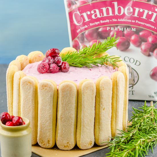 Chocolate Cranberry Cake - Recipe photo by Herbivore Cucina