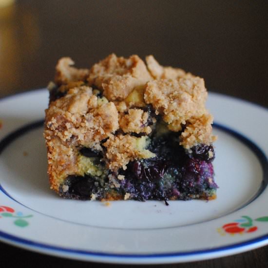 Big Crumb Blueberry Coffee Cake - Recipe photo by doublethyme
