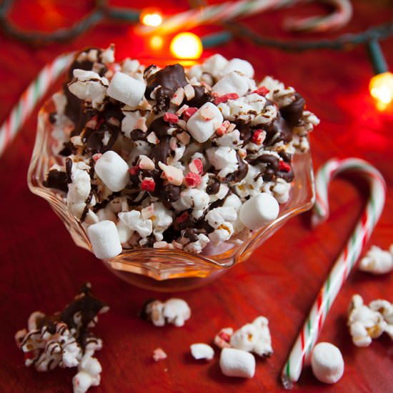 Peppermint Hot Chocolate Popcorn - Recipe photo by the pescetarian and the pig