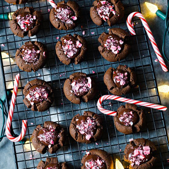 Double Chocolate Peppermint Cookies - Recipe photo by spice and sprout
