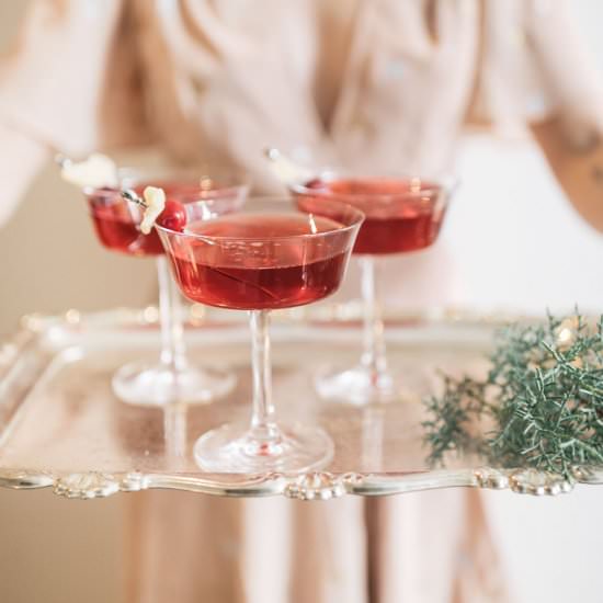Cranberry-Ginger Fizz - Recipe photo by theblondielocks