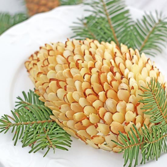 Pinecone cheese spread appetizer - Recipe photo by valyastasteofhome.com
