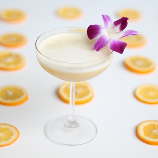 Meyer Lemon Gin Sour - Recipe photo by chasetheflavors