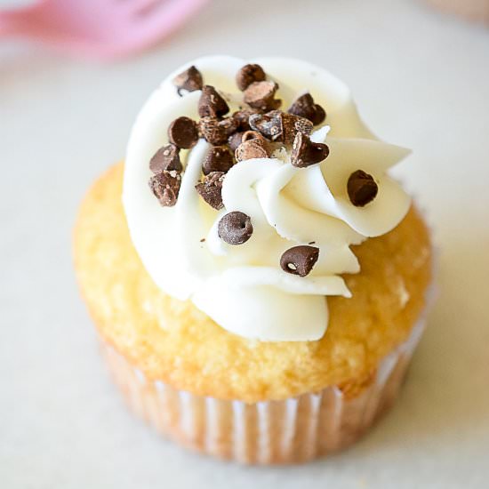 Chocolate Chip Cupcakes - Recipe photo by thegraciouswife