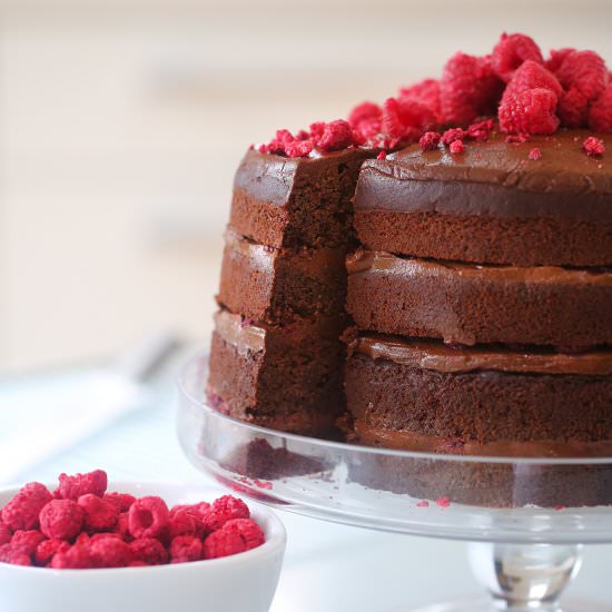 Chocolate Raspberry Cake (GF) - Recipe photo by begoodorganics