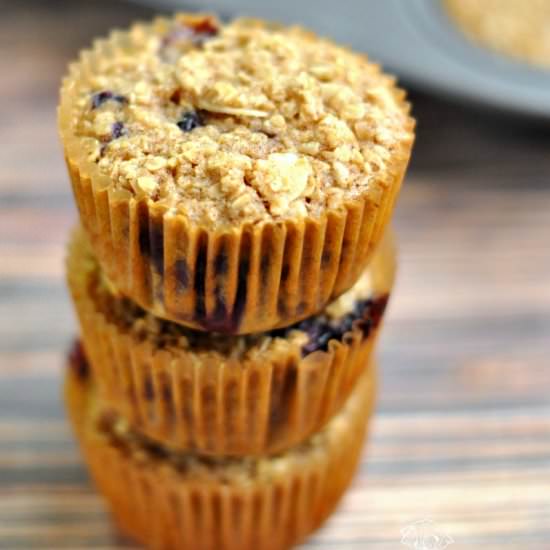 Blueberry Nut Baked Oatmeal Muffins - Recipe photo by happymothering
