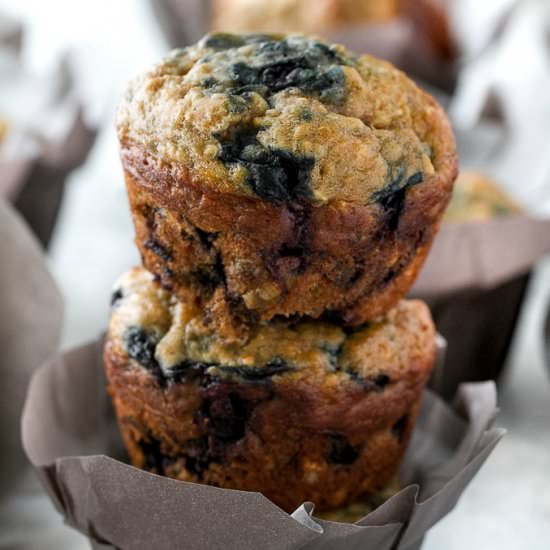 Blueberry Banana Oatmeal Muffins - Recipe photo by runningwithspoons