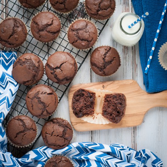 Chocolate Muffins w/ Chocolate Chips - Recipe photo by photosandfood