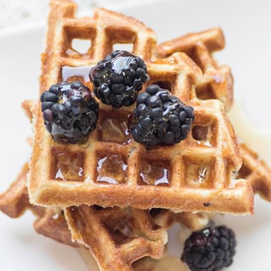 Blackberry Cornmeal Waffles - Recipe photo by LK529