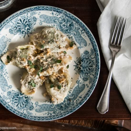Pansotti - Recipe photo by asmallkitcheningenoa