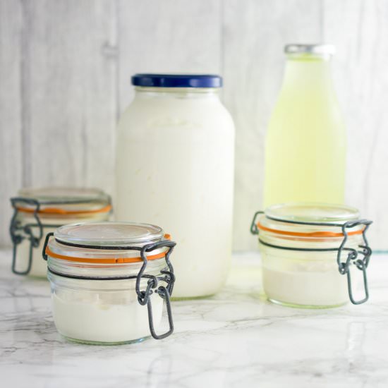 Instant Pot Greek Yogurt - Recipe photo by JoJoNookAndCranny