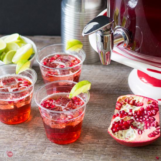 Pomegranate Ginger Ale Sparkler - Recipe photo by Take Two Tapas