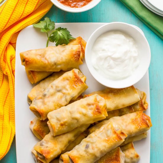 Baked Southwestern Egg Rolls - Recipe photo by Family Food on the Table