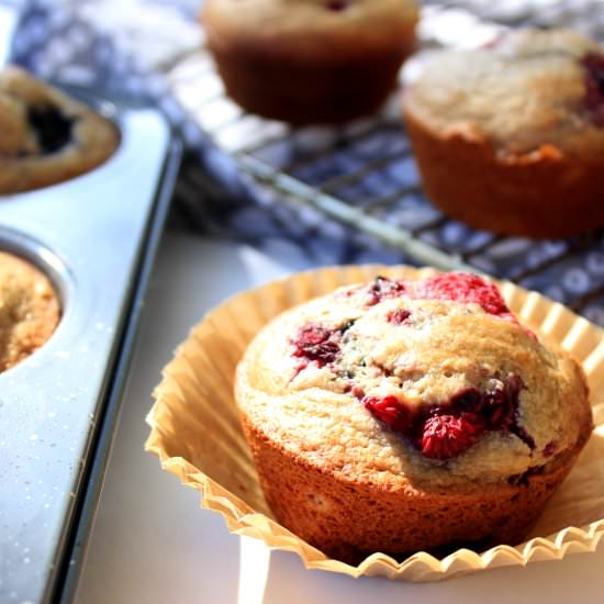 Berry Vanilla Breakfast Muffins - Recipe photo by spill the greens
