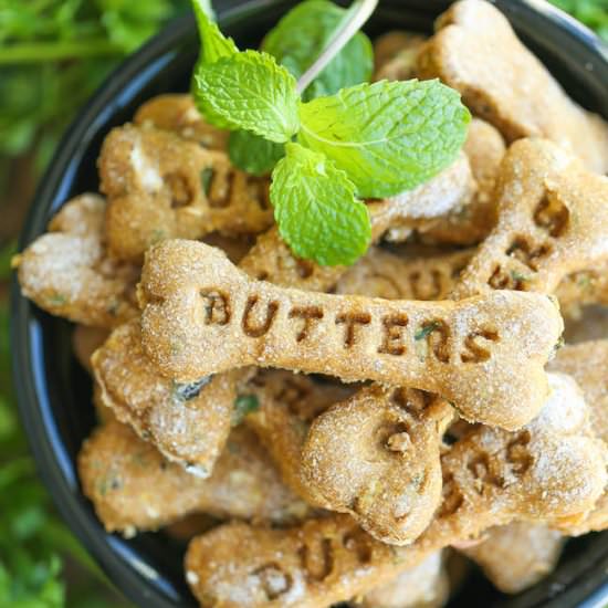 Pumpkin Apple Doggie Mint Treats - Recipe photo by damndelicious