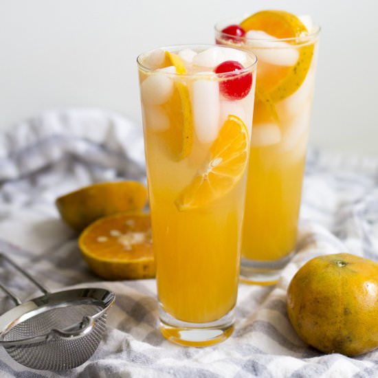 Honey Tangerine Collins Cocktail - Recipe photo by freutcake