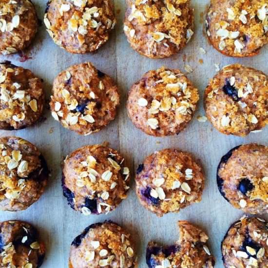 Blueberry Protein Muffins - Recipe photo by RoxanasKitchen
