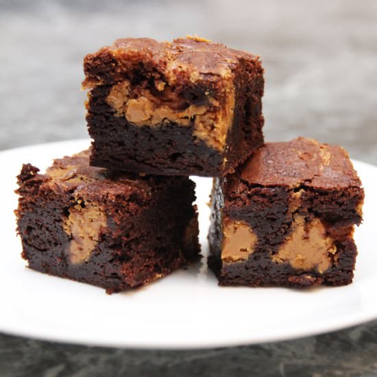 Speculoos Swirl Cocoa Brownies - Recipe photo by speedingturtle