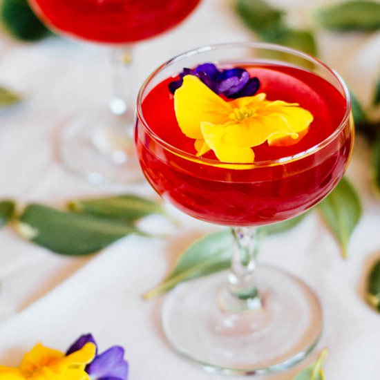 Hibiscus Gin Gimlet - Recipe photo by by gabriella