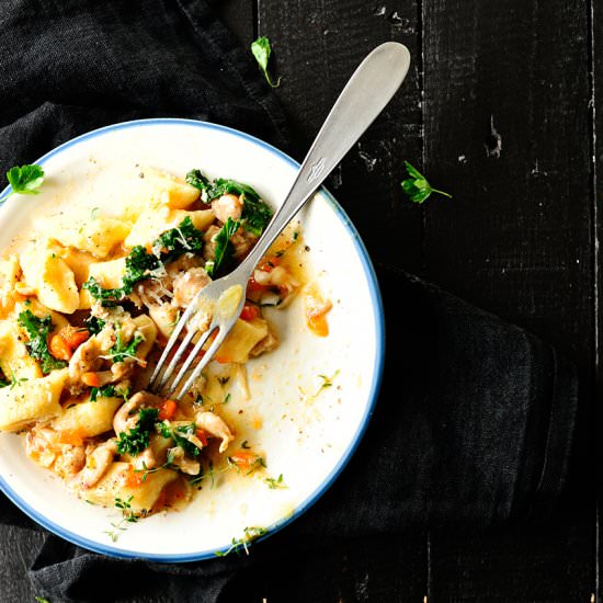 Gnocchi with Chicken Ragout - Recipe photo by servingdumplings