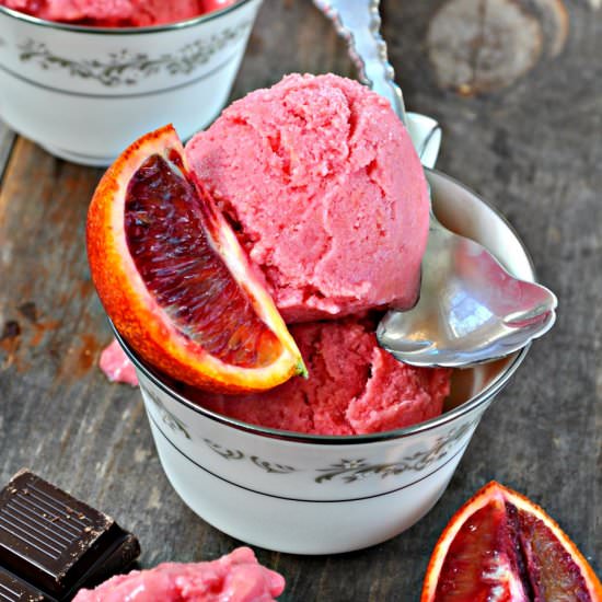 Vegan Blood Orange Frozen Yogurt - Recipe photo by rabbitandwolves