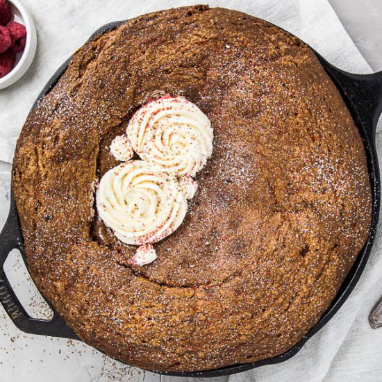 Chocolate Velvet Skillet Cake - Recipe photo by No Spoon Necessary