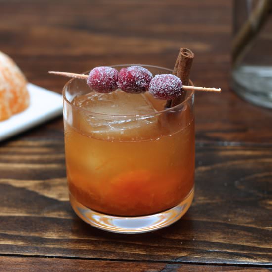 Autumn Cranberry Old Fashioned - Recipe photo by garnishgirl