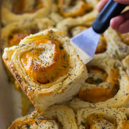 Ham and Cheddar Biscuit Rolls - Recipe photo by countryside cravings