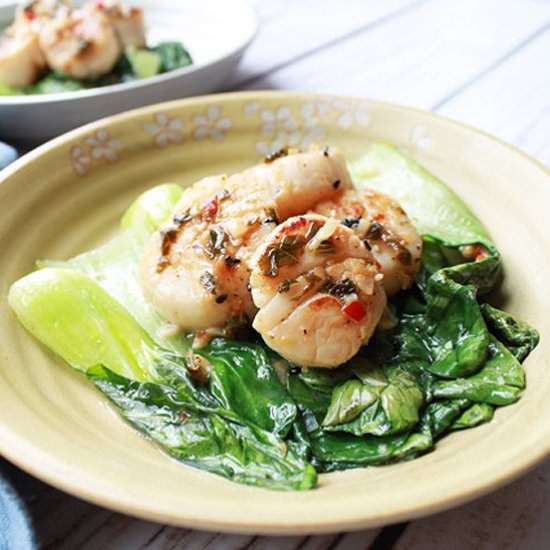 Seared Chili Scallops - Recipe photo by asiancaucasian