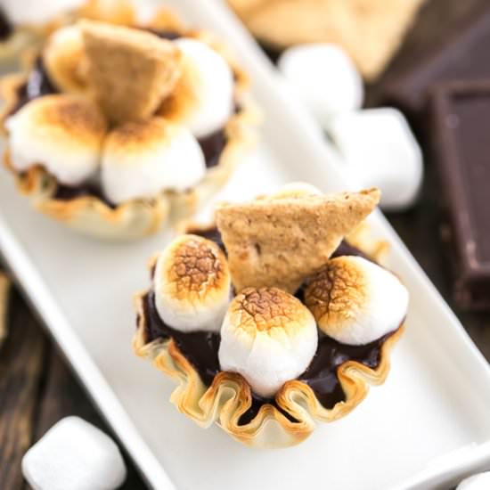 Mini S'mores Tarts - Recipe photo by thatskinnychickcanbake