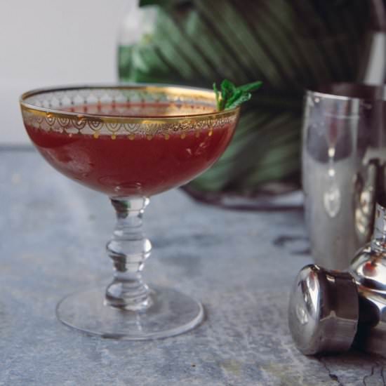 Pomegranate Ginger Gin Cocktail - Recipe photo by doublethyme