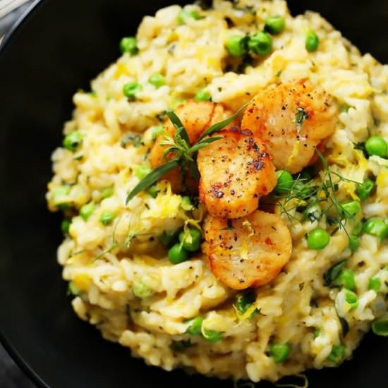 Seared Scallops with Lemon Risotto - Recipe photo by platingsandpairings