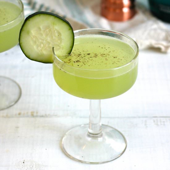 Mediterranean Gimlet - Recipe photo by garnishgirl