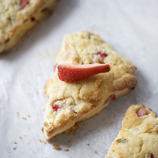 Coconut, Strawberry, and Choc. Scones - Recipe photo by prettylittleapron