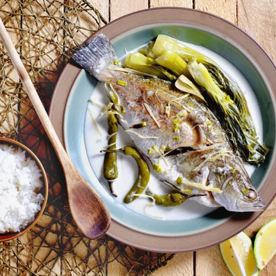 Seabass in Coconut Cream Sauce - Recipe photo by FoodForNet