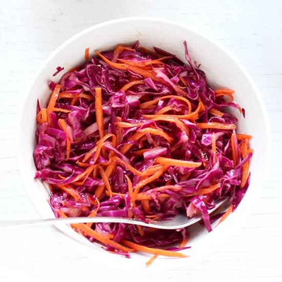 Red Cabbage Slaw - Recipe photo by lilVienna.com