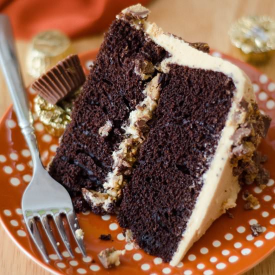 dark chic cake with pb frosting - Recipe photo by freshaprilflours