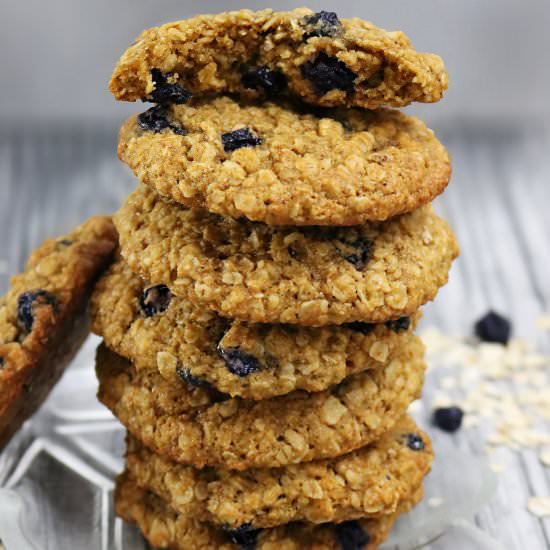 Blueberry Oatmeal Cookies - Recipe photo by SavorySpin
