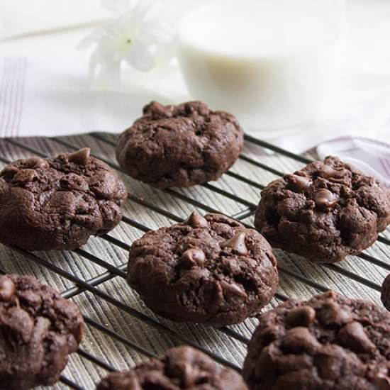 Chocolate Chocolate Chip Cookies - Recipe photo by MunatyCooking