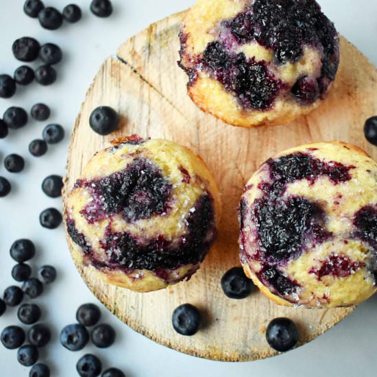 Best Blueberry Muffins - Recipe photo by Modern Honey