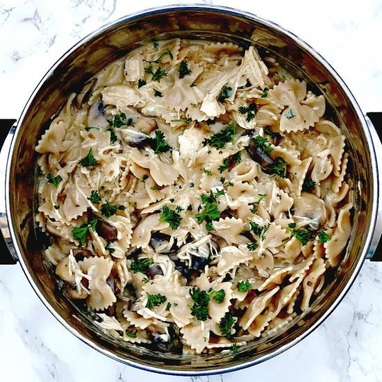 Slow Cooker Chicken Stroganoff - Recipe photo by stay_snatched