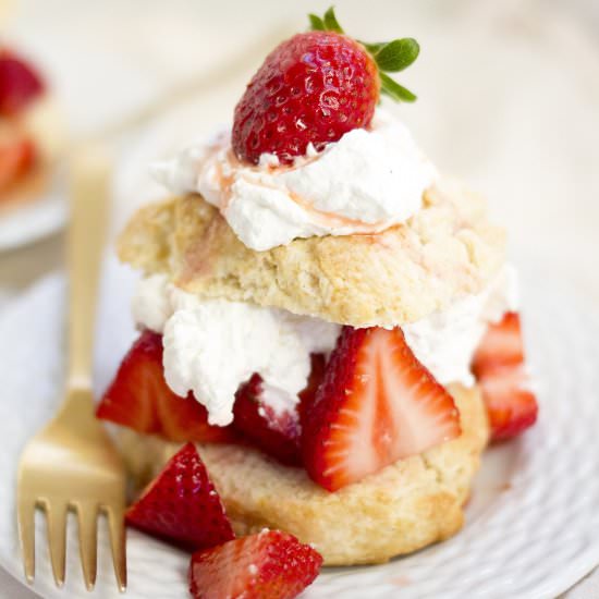 Strawberry Shortcakes - Recipe photo by freutcake
