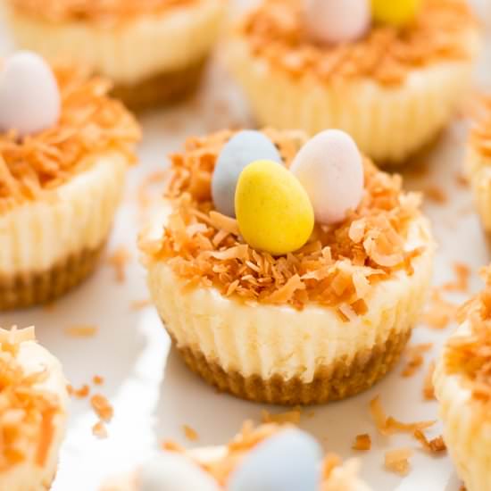 Easter Bird’s Nest Mini Cheesecakes - Recipe photo by foxandbriar