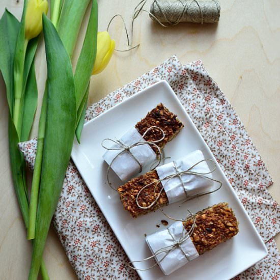 Vegan Banana Oatmeal Bars - Recipe photo by planetasmaku