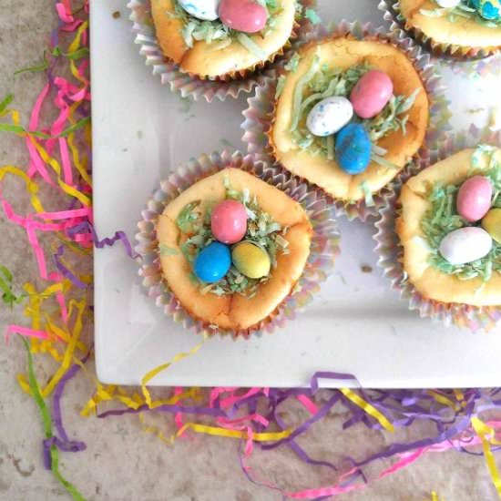 Easter Egg Nest Cheesecakes - Recipe photo by thegardeningcook
